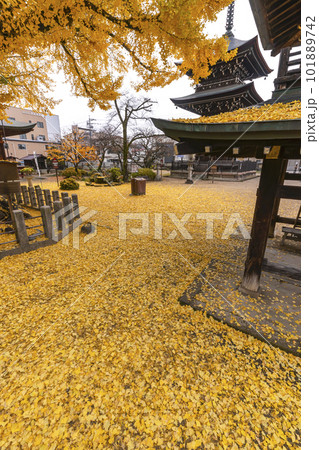 221122飛騨国分寺s111 101889742