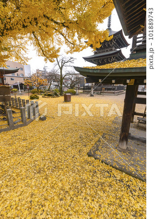 221122飛騨国分寺s110 221122飛騨国分寺s110 101889743