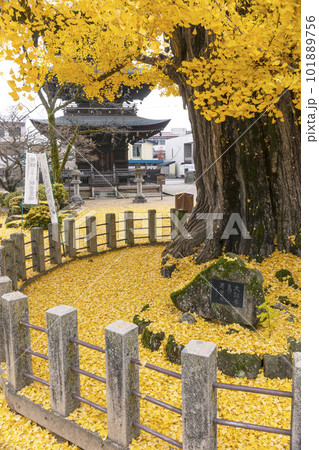 221122飛騨国分寺z070 221122飛騨国分寺z070 101889756