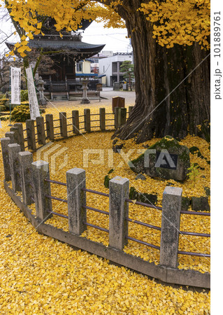 221122飛騨国分寺z050 101889761