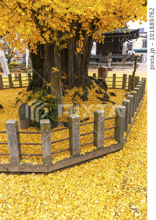 221122飛騨国分寺z044 101889762