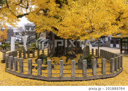 221122飛騨国分寺z024 221122飛騨国分寺z024 101889764