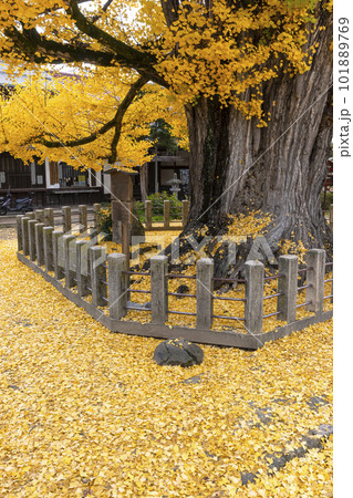 221122飛騨国分寺z012 101889769