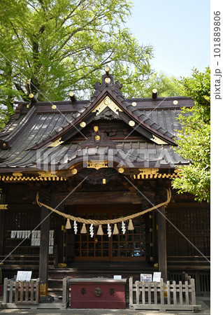 （寺社の風景）拝殿の風景：埼玉県加須市 玉敷神社  101889806