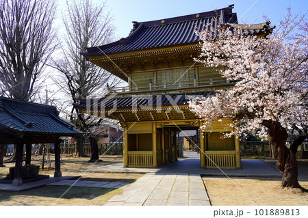 不動ヶ岡不動尊 總願寺 山門 埼玉県加須市不動岡 不動ヶ岡不動尊 總願寺 山門 埼玉県加須市不動岡 101889813