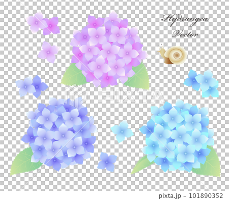 紫陽花とカタツムリのイラスト素材 ベクター  101890352