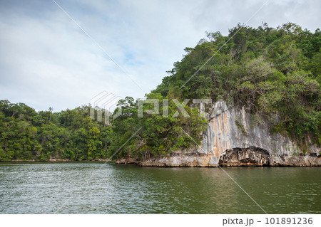 Natural landscape with rocky islands of Samana bay 101891236