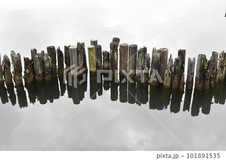 洗足池、くい、東京大田区 101891535