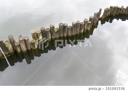 洗足池、くい、東京大田区 101891536