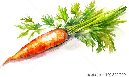 人参の水彩イラスト「AI生成画像」 101891769
