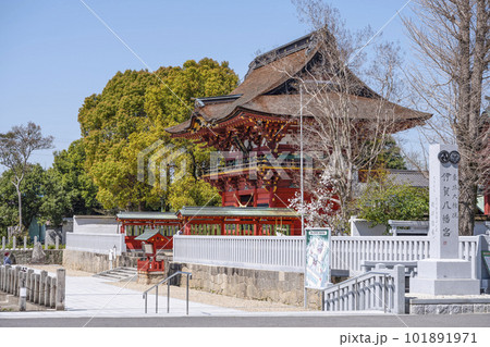東照大権現伊賀八幡宮（愛知県岡崎市） 101891971