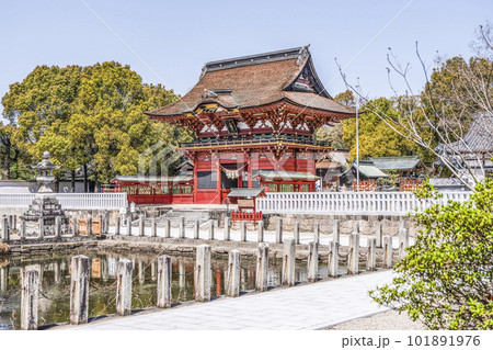 東照大権現伊賀八幡宮（愛知県岡崎市） 101891976