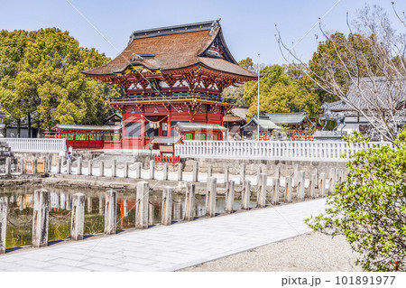 東照大権現伊賀八幡宮（愛知県岡崎市） 101891977