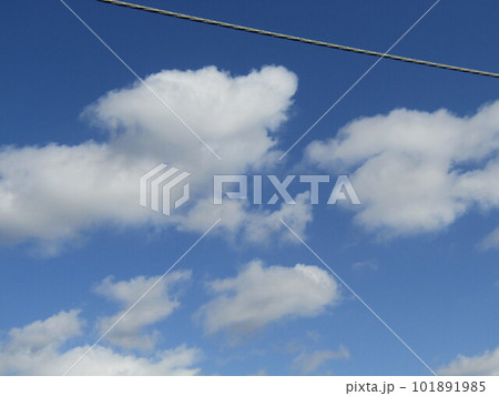 北高浜公園で見る青空と白い雲 北高浜公園で見る青空と白い雲 101891985
