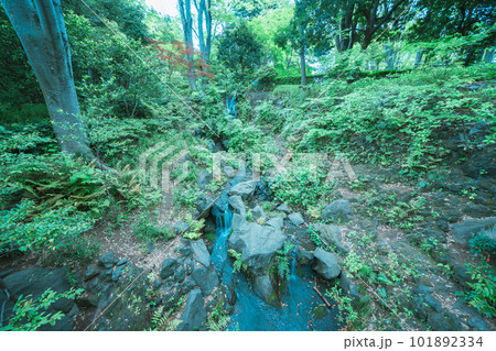 公園で流れ落ちる滝 101892334