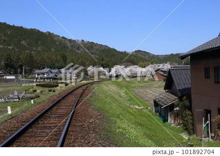 樽見鉄道 ・ 第一根尾川橋梁から谷汲口駅へ【 岐阜県本巣市 】 101892704