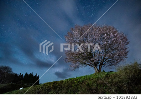天の川と桜　長野県 101892832