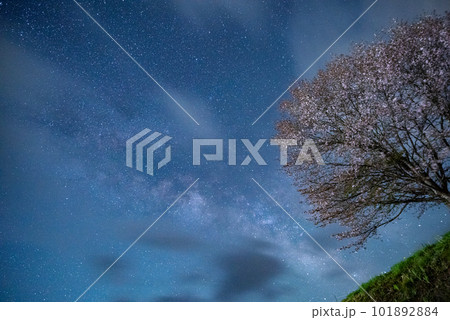 天の川と桜　長野県 101892884