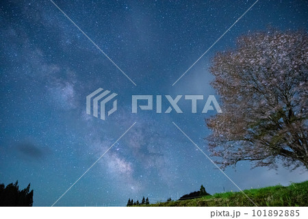 天の川と桜　長野県 101892885
