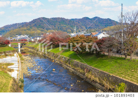 秋の竜田川 101893403
