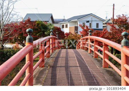 竜田川に架かる赤い橋 101893404