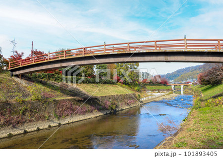 竜田川に架かる赤い橋 竜田川に架かる赤い橋 101893405