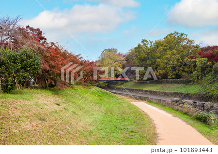 竜田公園の遊歩道 101893443