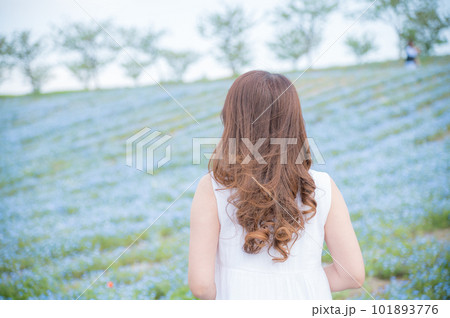 ネモフィラ畑をみる女性の後ろ姿 101893776