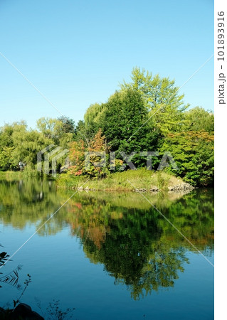 初秋の札幌中島公園 101893916