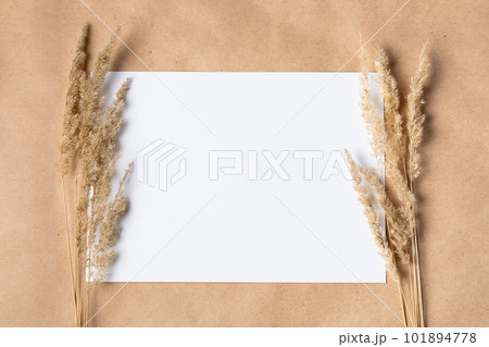 White paper empty blank for mock up with dried spikelets decoration on craft beige background. White paper empty blank for mock up with dried spikelets decoration on craft beige background. 101894778
