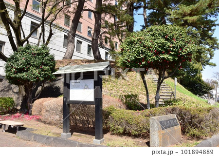 前橋市　前橋城跡三の丸緑地と前橋城案内板 101894889