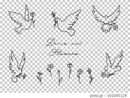Simple vector line illustration of a white dove flapping its wings to deliver a cute flower Simple vector line illustration of a white dove flapping its wings to deliver a cute flower 101895129