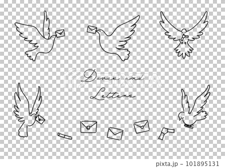 A simple vector line illustration of a white dove flapping its wings to deliver a letter 101895131