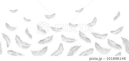 Seamless border, white feathers fall into the air on a white background. Background with copy space, vector 101896148