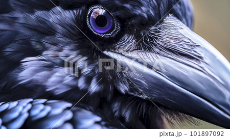 Close up with eye and beak from face of black raven, made with generative ai 101897092