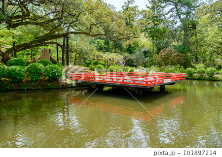 【奈良県】奈良市 萬葉植物園  (2023/04/18撮影) 101897214