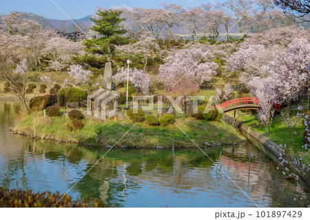 【ため池百選】荒神山ため池（たつの海）の春【荒神山スポーツ公園】 101897429