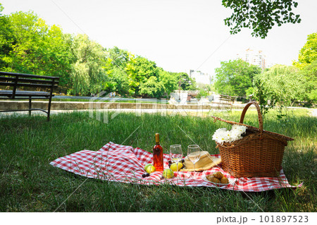 Spending time in nature - picnic, accessories for picnic Spending time in nature - picnic, accessories for picnic 101897523