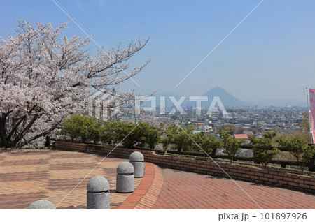 桜の名所、多度津町の桃陵公園から多度津の町並みと讃岐富士を見る 桜の名所、多度津町の桃陵公園から多度津の町並みと讃岐富士を見る 101897926