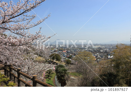 桜の名所、多度津町の桃陵公園から多度津の町並みと讃岐富士を見る 桜の名所、多度津町の桃陵公園から多度津の町並みと讃岐富士を見る 101897927