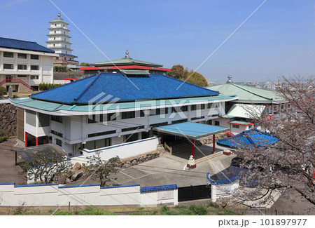 少林寺拳法総本山「金剛禅総本山少林寺」(春、多度津町) 少林寺拳法総本山「金剛禅総本山少林寺」(春、多度津町) 101897977