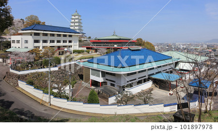 少林寺拳法総本山「金剛禅総本山少林寺」（春、多度津町） 101897978