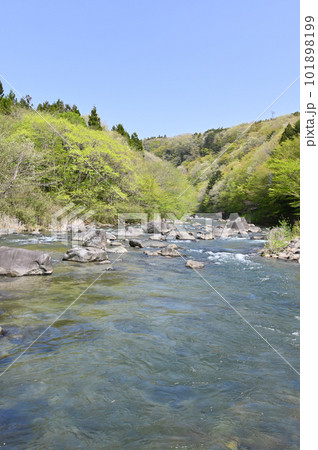 新緑と那珂川の清流の風景【栃木県那須塩原市】 新緑と那珂川の清流の風景【栃木県那須塩原市】 101898199