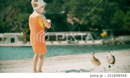Little girl wearing orange dress feeds ducks on the beach 101898468