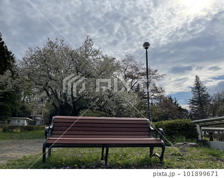 なんだか寂しい公園のベンチ 101899671