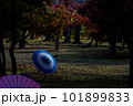 番傘と日陰の紅葉 101899833
