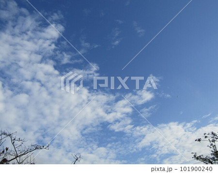 北高浜公園で見る青空と白い雲 北高浜公園で見る青空と白い雲 101900240