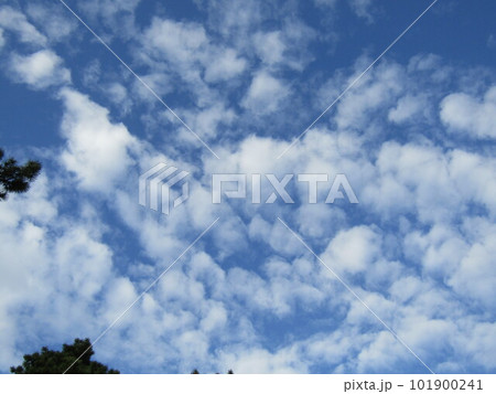 北高浜公園で見る青空と白い雲 北高浜公園で見る青空と白い雲 101900241