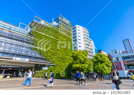 日本の東京都市景観　夏日。東急病院併設の東急電鉄 大岡山駅や駅前の風景などを望む 101901065