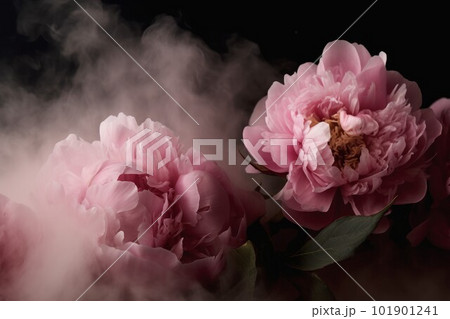 Peony flowers in smoke. Fresh floral. Generate Ai Peony flowers in smoke. Fresh floral. Generate Ai 101901241